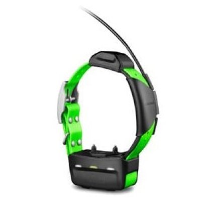 Collier de suivi et de dressage GARMIN TT 15X 