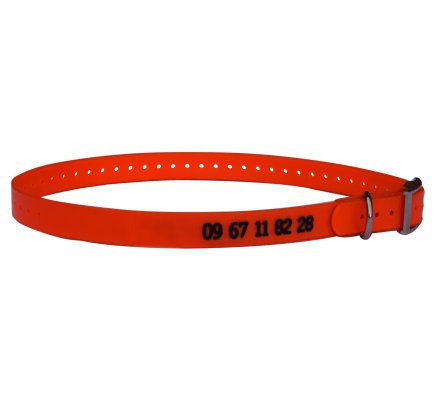 Collier gravé TPU orange pour boitier de dressage  