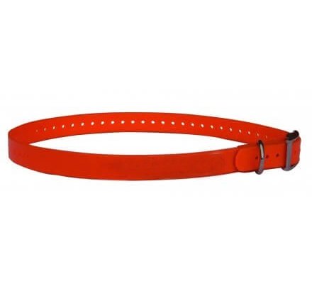 Collier TPU orange pour boitier de dressage  