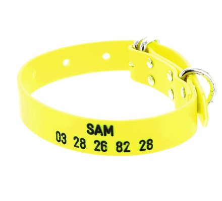 Collier gravé PVC petit chien jaune fluo