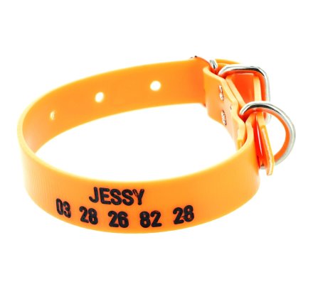 Collier gravé PVC petit chien orange fluo