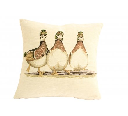 Coussin 3 canards