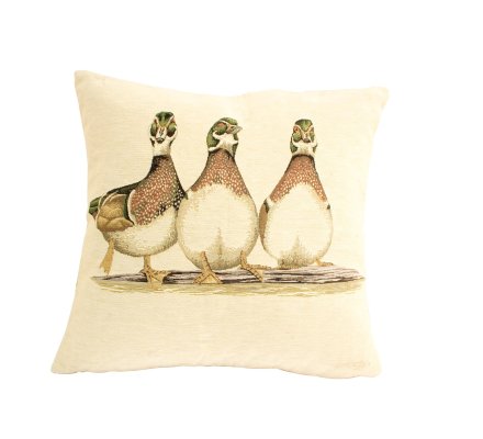 Coussin 3 canards