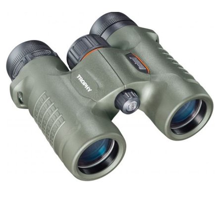 Jumelle Bushnell Trophy 8X32 - Verte