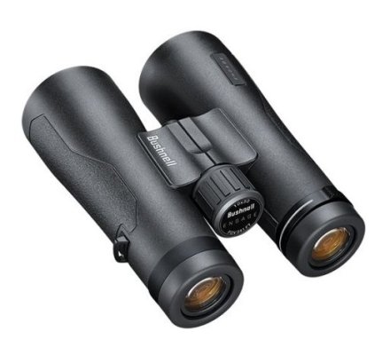 Jumelles BUSHNELL engage EDX 12X50 