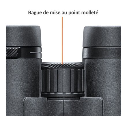 Jumelle BUSHNELL engage X 10X42