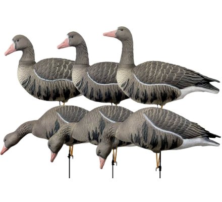 Pack 6 oies rieuses à pattes full HD XTREM MIGRATEURS