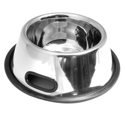 Gamelle inox pour chien