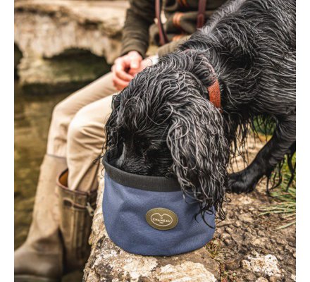 Gamelle pour chien portable bleu Le Chameau