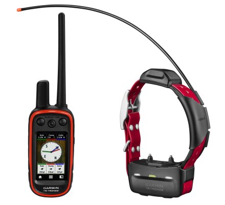 GPS de suivi et collier de dressage Pack Garmin Alpha® 100 et TT™15