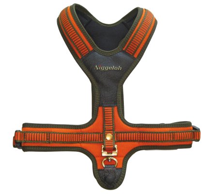 Harnais néoprène orange pour chien NIGGELOH
