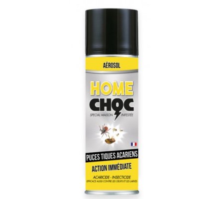 Aérosol insecticide spécial maison infestée 500ml HOME CHOC