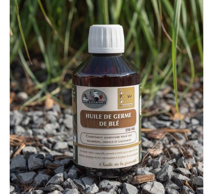 Pack repro spécial ovulation DUCK PRO PPP