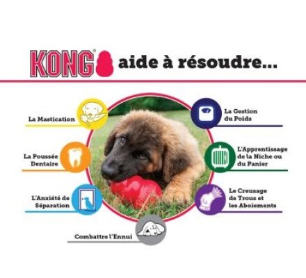 Jouet pour chien rouge classic KONG