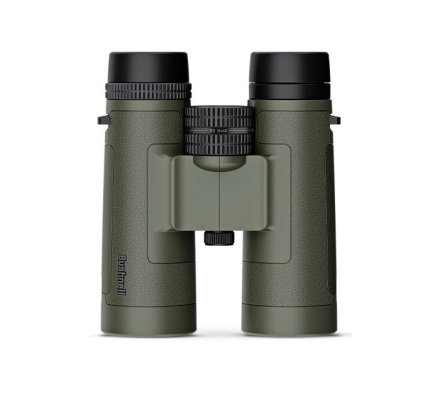 Jumelles BUSHNELL R3 8x42 verte