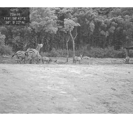 Jumelles de vision thermique TS16-35 HIKMICRO