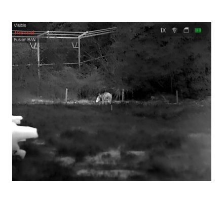 Jumelles de vision thermique TS16-50 HIKMICRO