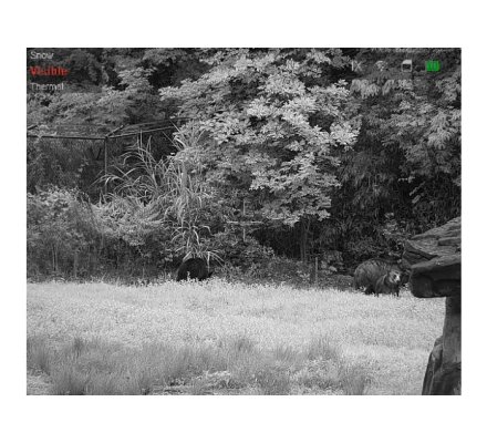 Jumelles de vision thermique TS16-50 HIKMICRO