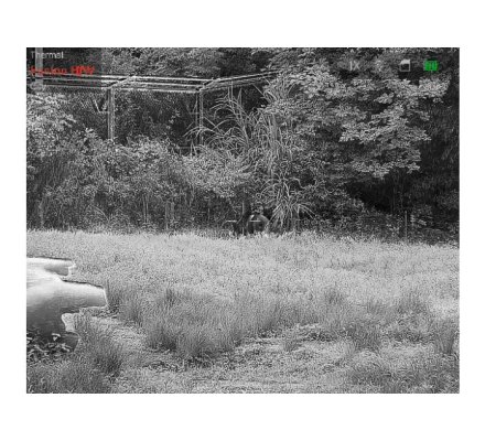 Jumelles de vision thermique TS16-50 HIKMICRO