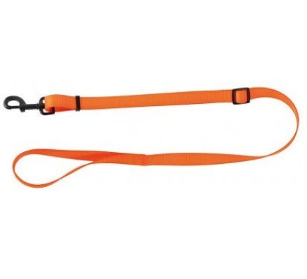 Laisse pour chien 120 cm orange STEPLAND