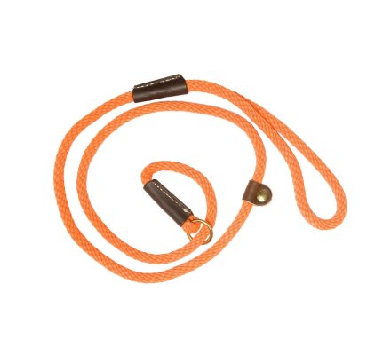 Laisse de dressage orange