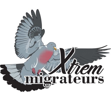 Sweat pigeon ramier gris chiné XTREM MIGRATEURS