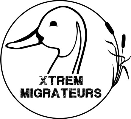 Tee-Shirt manches courtes Xtrem Migrateurs marron