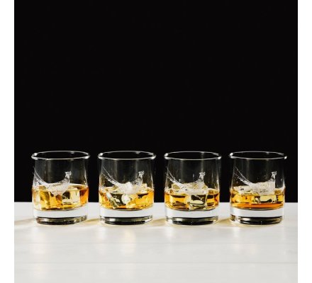 Lot 4 verres à Whisky Tumbler gravure faisan