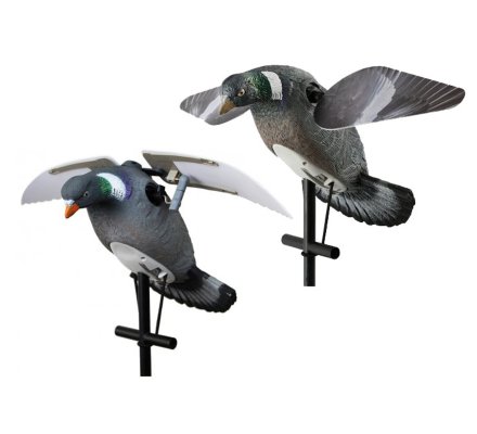 Pack pigeons ailes battantes et ailes tournantes HD LUCKY DUCK