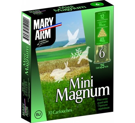 Cartouche Mini Magnum 40 cal 12 Mary Arm