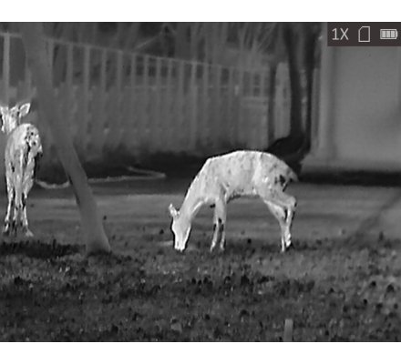 Monoculaire de vision thermique OWL OH35 HIKMICRO