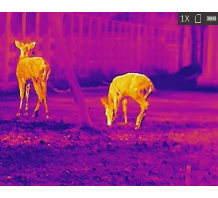 Monoculaire de vision thermique OWL OH35 HIKMICRO