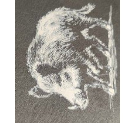 Présentoir ardoise Sanglier LOVERGREEN