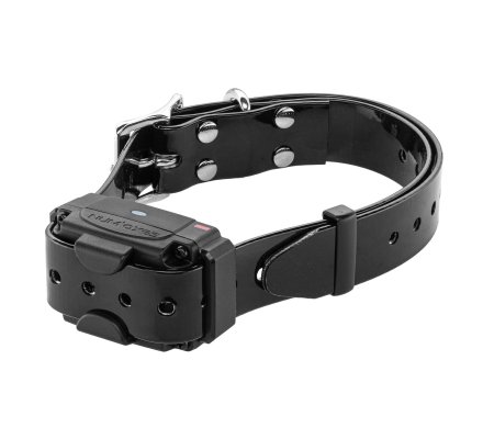 Système anti-fugue sans fil Canifugue FUG1034 avec borne + collier NUM’AXES