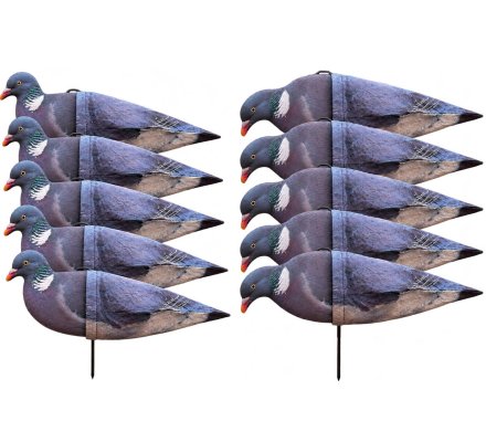 Pack 10 appelants pigeons AéroFlex HD