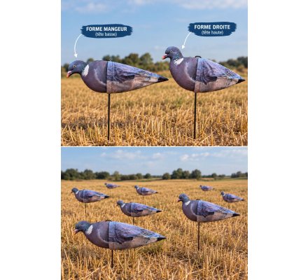 Pack 10 appelants pigeons AéroFlex HD