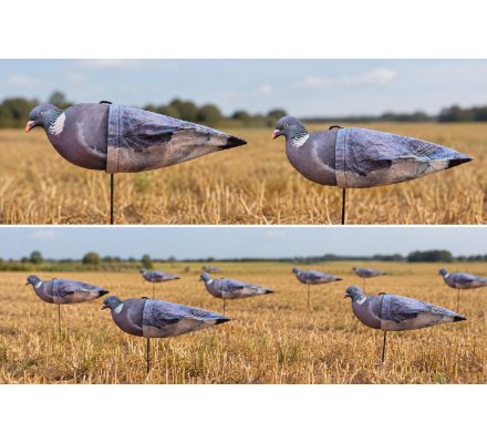 Pack 10 appelants pigeons AéroFlex HD