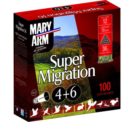 Pack 100 cartouches Mary Arm Super Migration 36