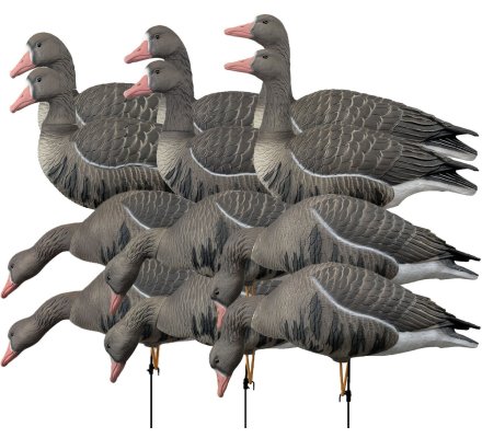 Pack 12 oies rieuses à pattes full HD XTREM MIGRATEURS
