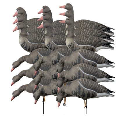 Pack 18 oies rieuses à pattes full HD XTREM MIGRATEURS