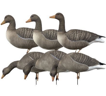 Pack 6 oies cendrées à pattes full HD XTREM MIGRATEURS