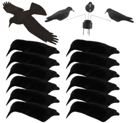 Pack DECOUVERTE 12 appelants corbeaux coquilles floquées, EVA et manège à corbeaux