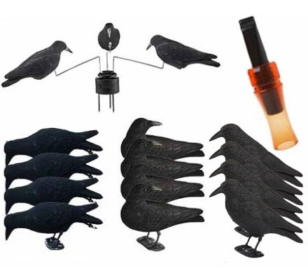 Pack PREMIUM 12 appelants et manège à corbeaux
