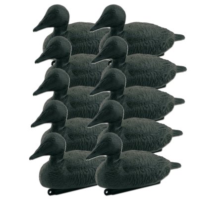 Pack 10 appelants Eiders Noirs