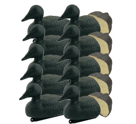 Pack 10 appelants eiders noirs moussés