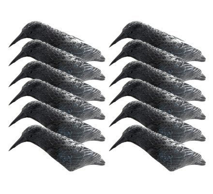 Pack DEBUTANT 12 appelants corbeaux coquilles et manège à corbeaux