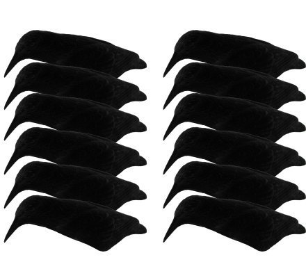 Pack DECOUVERTE 12 appelants corbeaux coquilles floquées, EVA et manège à corbeaux