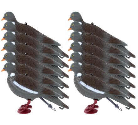 Pack 12 appelants pigeon ramier avec pattes