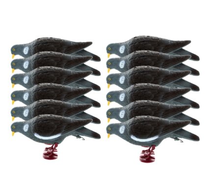 Pack 12 Appelants Pigeons avec pattes qui picorent