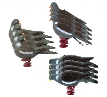 Pack 12 pigeons ramiers actifs avec pattes 